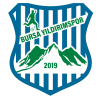 Logo Bursa Yıldırımspor