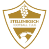 Logo Stellenbosch FC Reserves