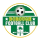 Logo Borough