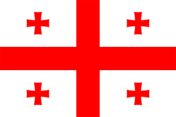 Logo Georgia Indoor Soccer