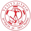 Logo Hapoel Petah Jikva Nahum Stelmah U19
